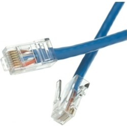 CableWholesale 10X8-161HD Cat6 Blue Ethernet Patch Cable Bootless