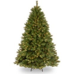 National Tree WCH7-300-75 7.5 ft. Winchester Pine Hinged Tree with 500 Clear