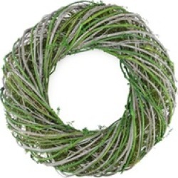 14" Green and White Twig and Moss Artificial Spring Time Wreath