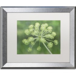 Kurt Shaffer 'Selective Focus in Green' Silver Framed Art