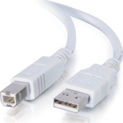 Cables To Go 13171 1m USB Cable - USB 2.0 A to B Cable White (3.3ft)