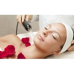 One or Two Organic Facials and Microdermabrasion Treatments at Lotus Health & Wellness Center (Up to 56% Off)