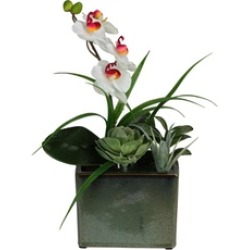 12" Spring Time Orchid and Succulents Artificial Floral Arrangement