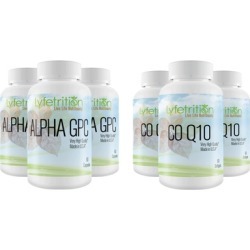 Lyfetrition Alpha GPC Premium Nootropic & /or CoQ10