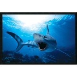 Shark' Framed Art Print with Gel Coated Finish 37x25-in