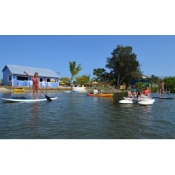 Kayak or Board Rental at Wildlife Water Sports (Up to 42% Off). Six Options Available.