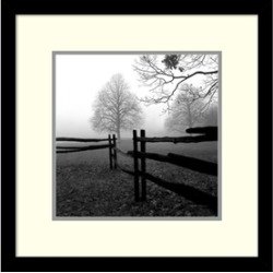 Harold Silverman 'Fence in the Mist' Framed Art Print 13x13-in