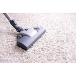 $10 for $20 Worth of Rug and Carpet Cleaning - Carpet Cleaners by Treasure