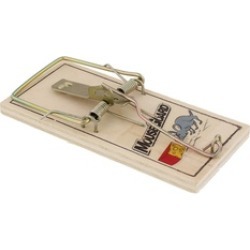 Value 12 pack MouseGuard Wooden Mouse Trap