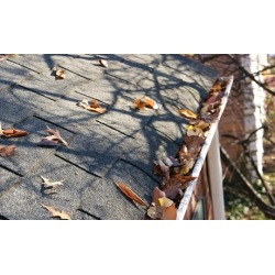 $100 for $200 Worth of Services - Pinto Home Improvement