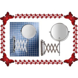 Adjustable Frack Stainless Steel Mirror Buy One Get One Free