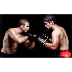 One or Two Months of Gold Membership with Training Sessions at United Training Center (Up to 71% Off)