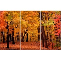Split Canvas Art Set 12"x24" 3 Pieces Autumn Forest