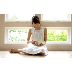 Installation of One, Four, or Eight Energy Star Windows from Zen Windows (Up to 50% Off)