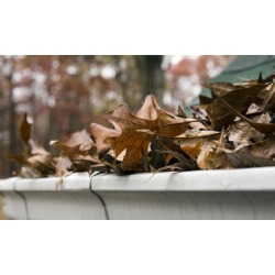 Window Cleaning or Gutter Cleaning from Extreme Clean, LLC (Up to 60% Off)