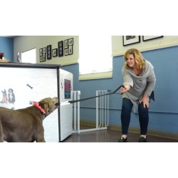 Easy Tug Dog Toy