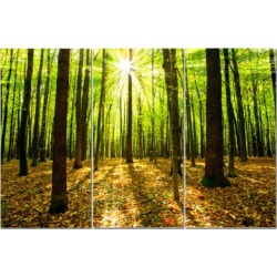 Split Canvas Art Set 12"x24" 3 Pieces Forest