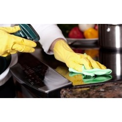 $100 for $200 Worth of Services - IconiK Cleaning Services