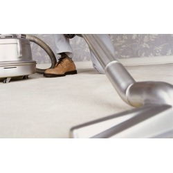 $100 for $200 Worth of Carpet Cleaning- Dirt Free Carpet & Tile Cleaning