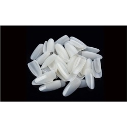 500pcs Fake Nails Natural Oval Full Cover Gel Nails False Tips 10 Size