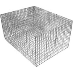 Bird B Gone BMP-SP2C Sparrow Trap With Two Chambers - 8 x 12 x 16 in.