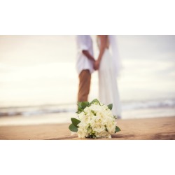 $647 for $995 Worth of Wedding-Planning Services - Alexievents ltd