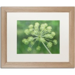 Kurt Shaffer 'Selective Focus in Green' Birch Framed Art