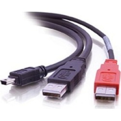 Cables to Go 28107 6ft USB 2.0 One Mini-b Male to Two A Male Y-Cable