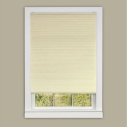 Honeycomb Cellular Pleated Cordless Shade