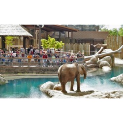 365-Day Visit Salt Lake Connect Pass for Child, Adult, or Senior from Visit Salt Lake (Up to 10% Off)