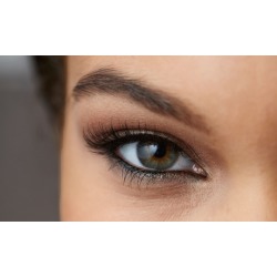 Top or Bottom Permanent Eyeliner or One Session of Eyebrow Microblading at Timeless Beauty (Up to 54% Off)