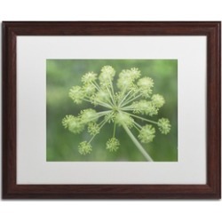 Kurt Shaffer 'Selective Focus in Green' Wood Framed Art