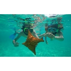 Three-Hour Snorkeling Activities for One at Key West Watersports (Up to 27% Off)