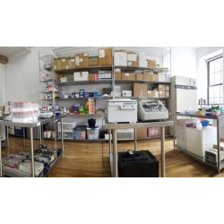 Mycoremediation Workshop