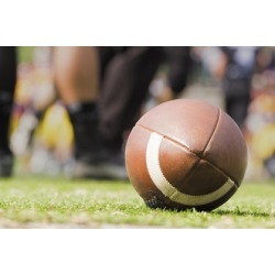 Elon Phoenix at Maine Black Bears Football - Nov 17, 12:00 PM