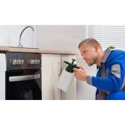 Pest-Control Services from TKE Rodent and Pest Control Services (Up to 53% Off). Three Options Available.