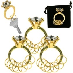 Imitation Diamond Ring Key Chain - set of 3 with pouch