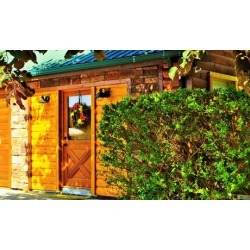 2-Night Stay for Three in a Cabin at Bear Pen Gap Resort in Sevierville, TN