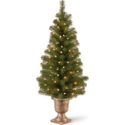 National Tree MC7-308-40 4 ft. Montclair Spruce Entrance Tree