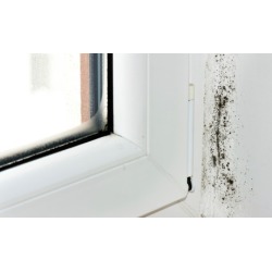 $69 for Mold Inspection with $199 Toward Mold Removal at Ultra Clean Service Corporation ($135 Value)