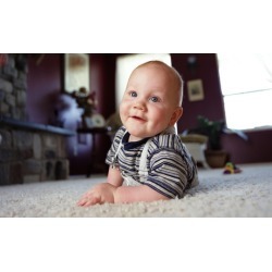 $50 for $99 Worth of Rug and Carpet Cleaning - Pros choice carpet cleaning