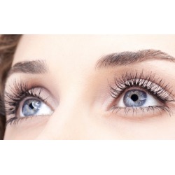 Semi-Permanent Eyebrow Microblading or Permanent Eyeliner for the Upper and Lower Eyelids (Up to 56% Off)