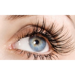 Eyelash Extensions at iSalon & Lash Bar (Up to 55% Off). Two Options Available.