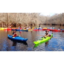 Kayak or Paddleboard Tour from Palmetto Paddle Sports (Up to 50% Off). Two Options Available.