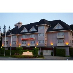 buy Woodcrest Hotel cheap online