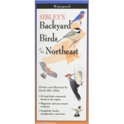 Sibley's Backyard Birds New England Northern New York Book