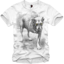 COST Mens Tee Alice In Chains Melvins