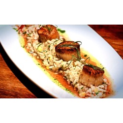 New American Cuisine, Tapas, and Seafood at Ocean (Up to 44% Off). 2 Options Available.