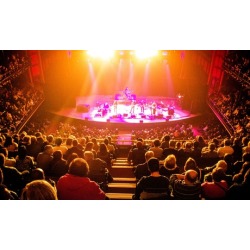 Classic Albums Live Presents Creedence Clearwater Revival's "Chronicle" on December 13 at 8 p.m.