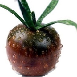 Cherry Fruit Tomato Vegetable Seed